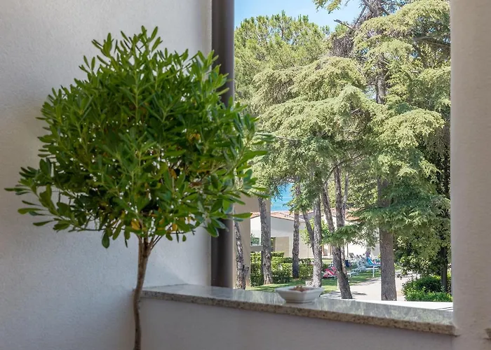 Sonja Apartman Poreč